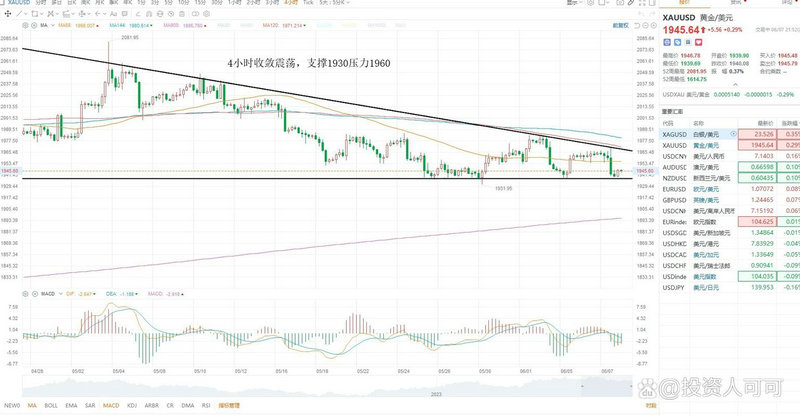 益阳上市公司数量（什么是上市公司）