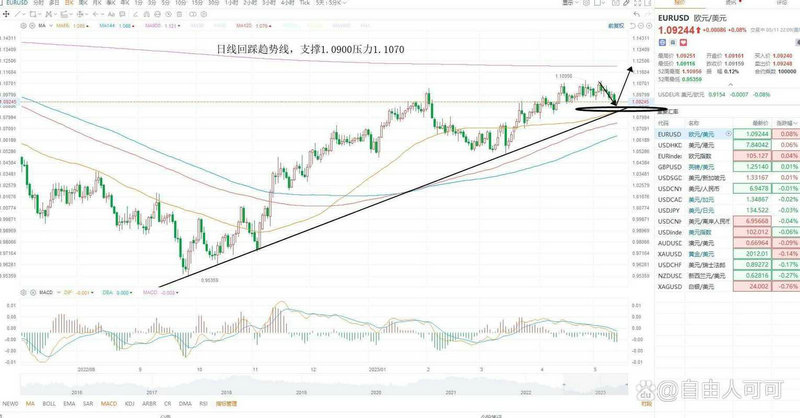 对外发债的主体包括哪些（金融债券的发行主体