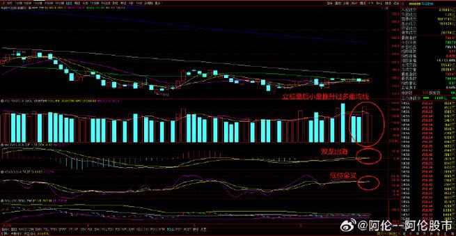 飞亚达是不是龙头股（飞亚达机芯是哪里的）