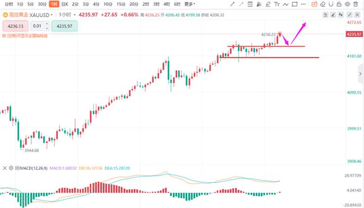 立讯精密历年分红（002475新浪财经）