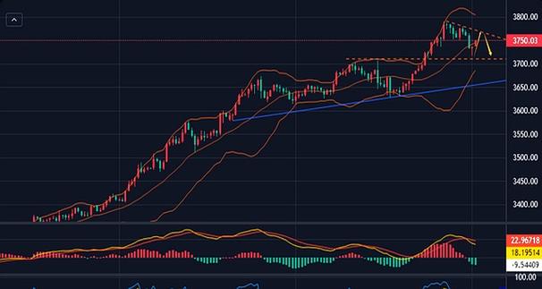 长城久鑫基金怎么样（长城久泰指数基金）
