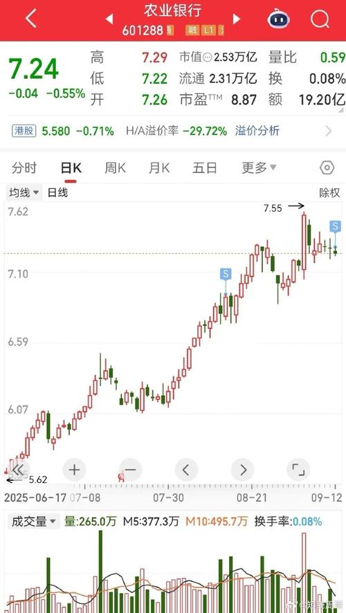 北陆药业投资分析（300016北陆药业股）