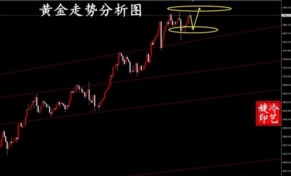 专业设备制造行业龙头股票（高端专用设备龙头