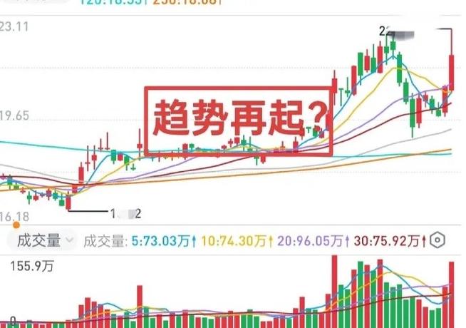 云端止损单只触发未成交啥意思（设置了止损跳