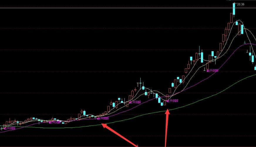 各行业龙头股票（各行业龙头股一览表）