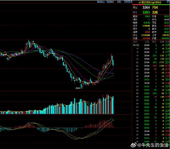 300247年报（年报流程）