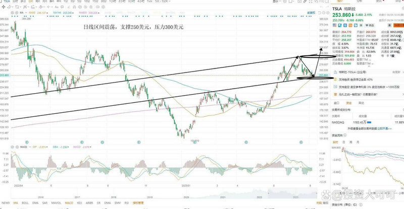中国股市之王（股市十大亏损王）