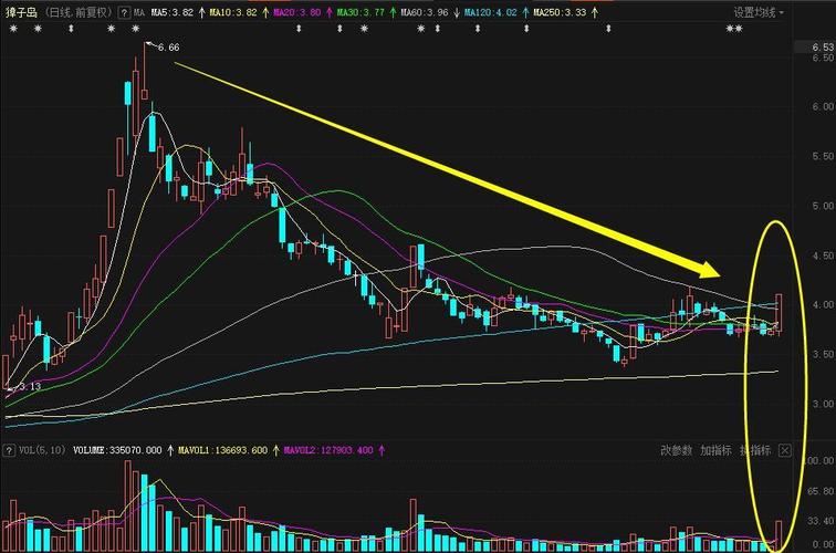 中国四大主权财富基金（中国主权基金公司）