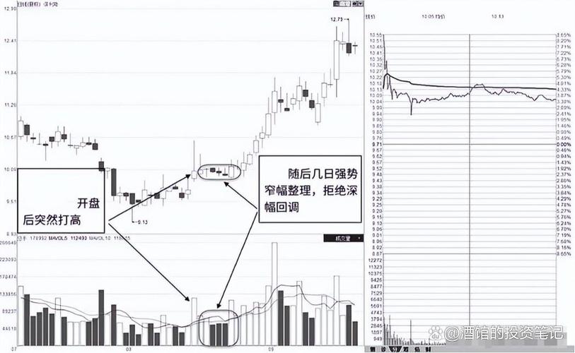 1月4日科创板活跃股公开信息