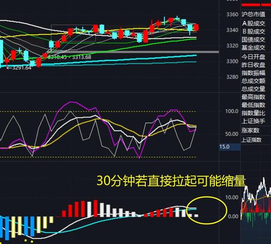 1月金股出炉这只股票人气最高