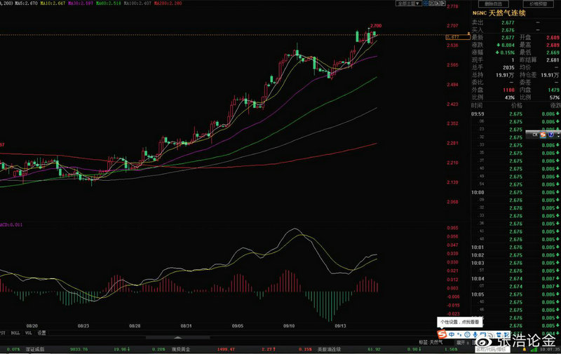 止损的智慧（是及时止损还是继续）