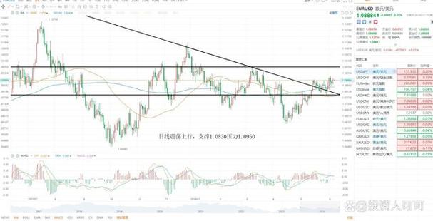 创业板发审会最新公告2020（创业板待审公司排队