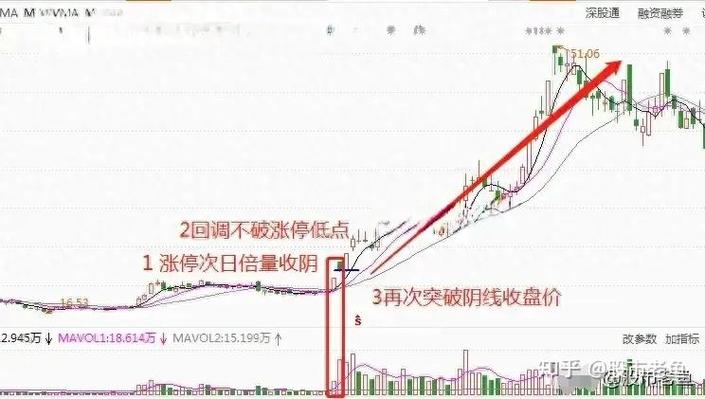 我国上市公司股利政策（我国上市公司股利分配