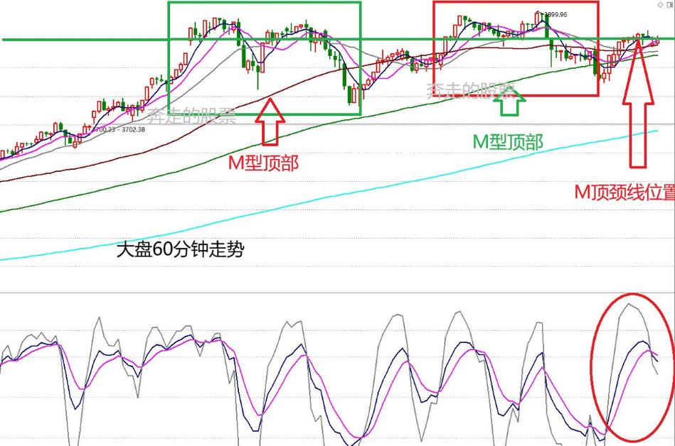 海光芯片和中科曙光上面的业绩关系