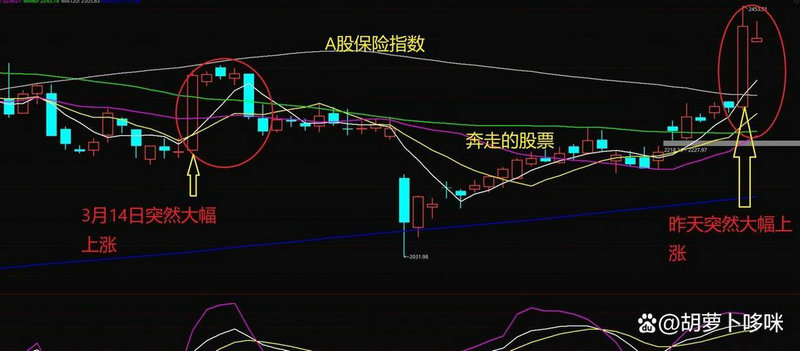 价值型基金和成长型基金的区别（基金平衡型和