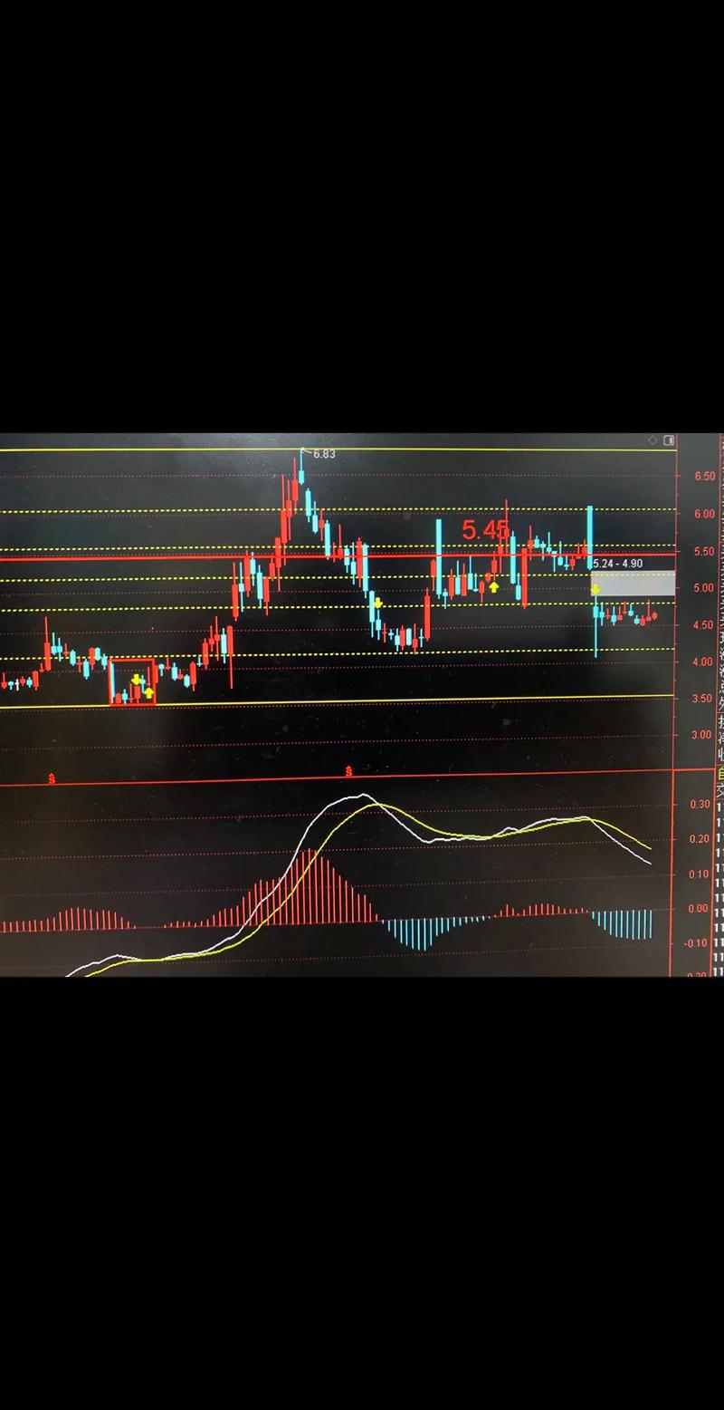 科创板是什么时候设立的（科创板什么时候开始