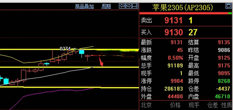债券的预期收益率（债券收益率与价格关系）