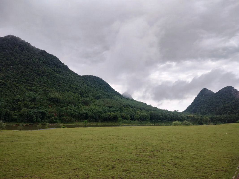 宏信证券南充（宏信证券攀枝花营业部电话）