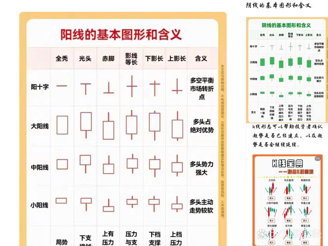 股权投资基金投资后管理的增值服务不包括（股