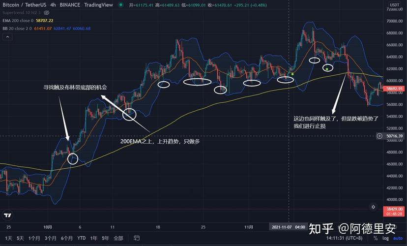 打新股的号码在哪里查阅（新股在哪里看的）