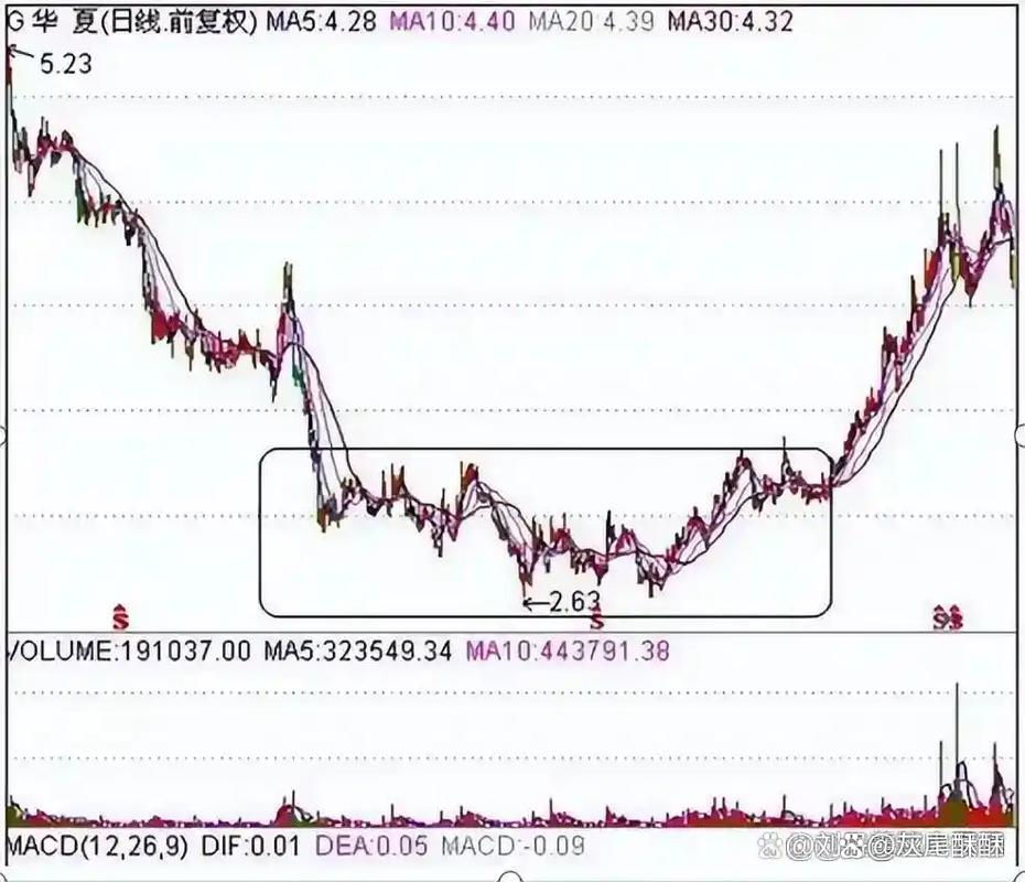 创业板里的券商股票有哪些（创业板食品股一览