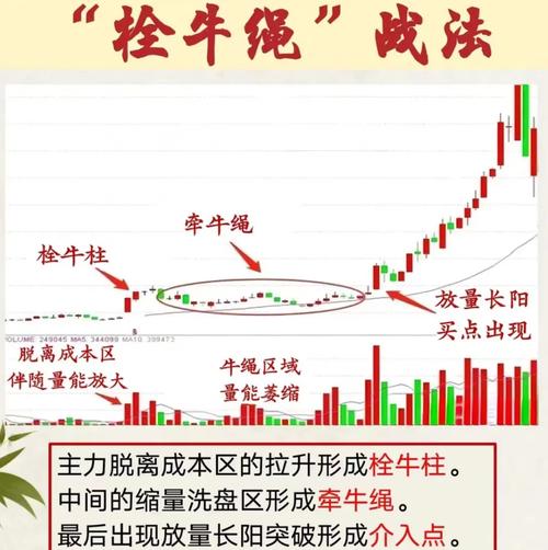 证券投资基金的概念（基金从业资格报名入口官