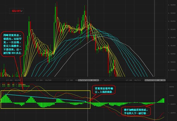 600849目标价（华北制药股票）