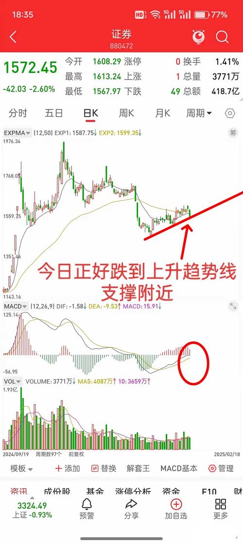 步步高002251分析（步步高股份股吧）