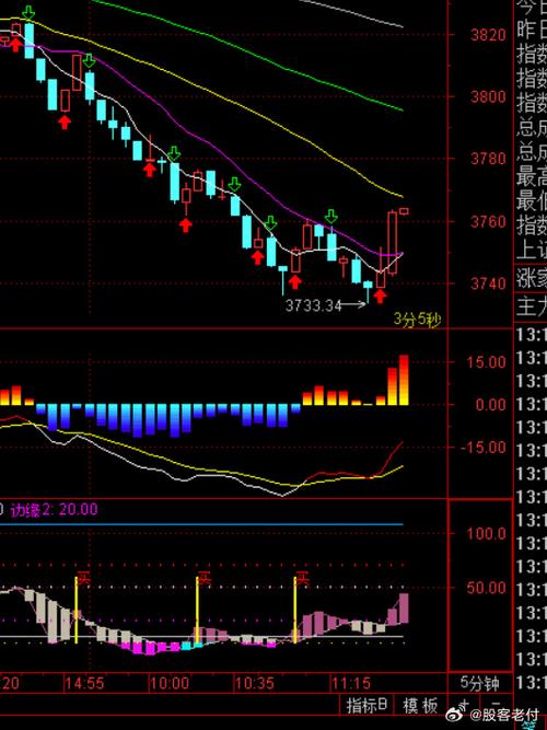 000605渤海股份股（华平股份）