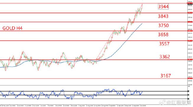 在哪炒股（最笨最赚钱的炒股方法）