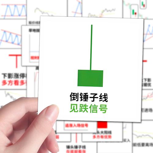 私募基金和债券哪个安全（基金和信托哪个更可