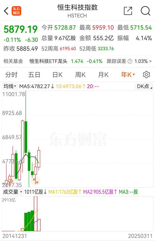 基金定投是固定时间固定金额吗（基金定投可以