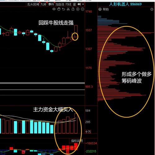 隆力奇集团（聚好商城上市最新消息）