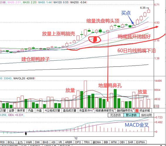 除权是真实价格吗（转增不除权是什么意思）