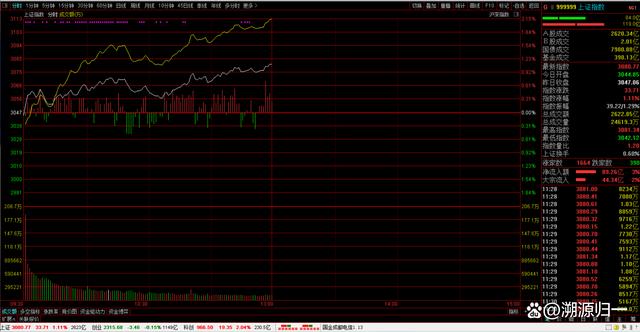 2008年基金排名（招商中证白酒可以长期持有吗）