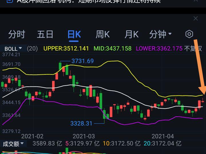 财信证券2019净利润（2019上市公司利润排名）