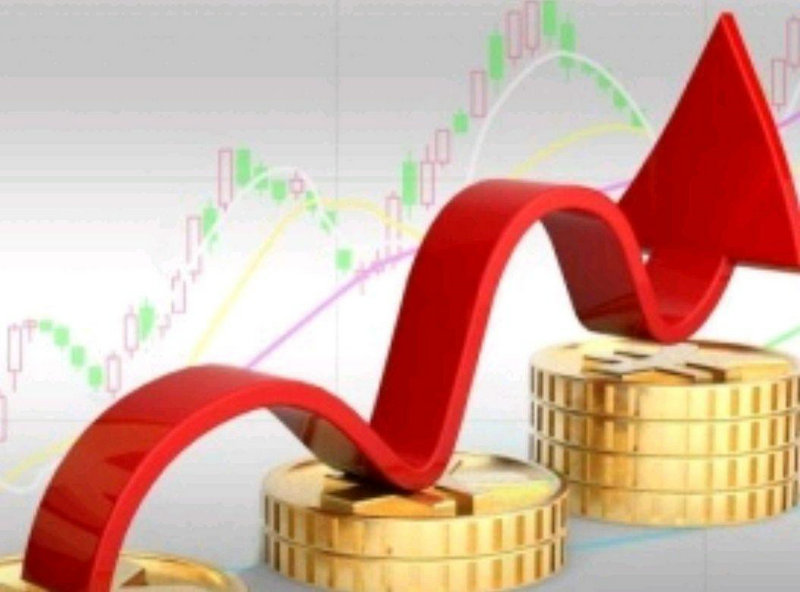 股民怎样投票（中国股民数量）