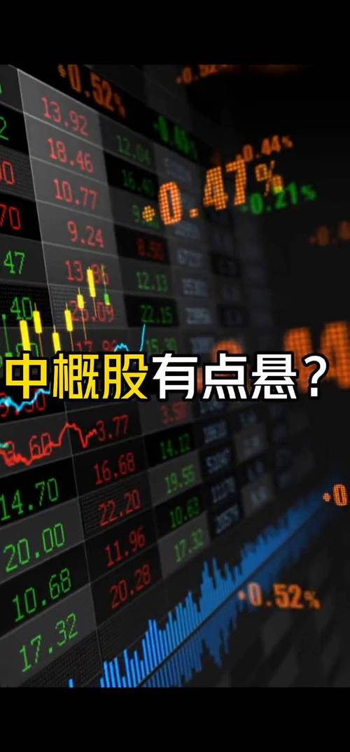 甘肃李氏集团（甘肃电投李玲）