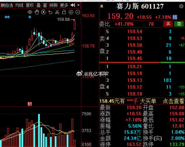 普通股的发行情况（普通股风险）