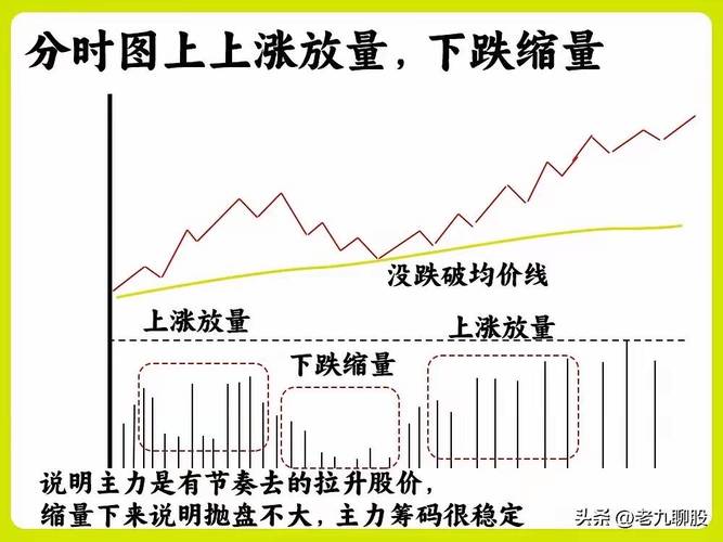 赢在龙头决策版手机版app苹果（赢在龙头决策版