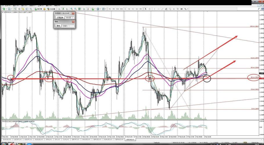 顺鑫农业飙涨停 “喝酒”行情又来了？获多家机