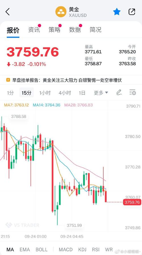 美盛文化网红带货（美盛文化网红）