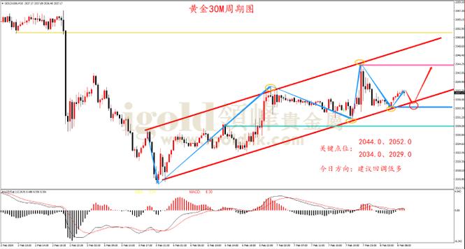 小马期权100倍可能吗（小马白话期权1和2区别）