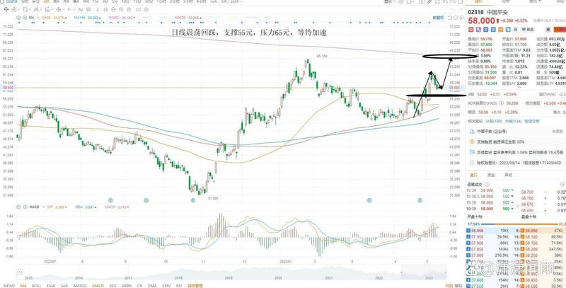 006303基金怎么样（005303基金今日净值）