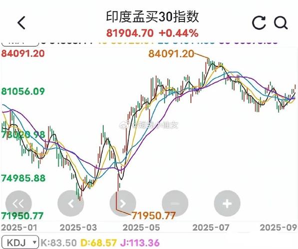 基金补仓怎么弄（定投基金怎么补仓）