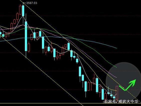 怎么看海外基金走势（怎样看基金走势曲线）