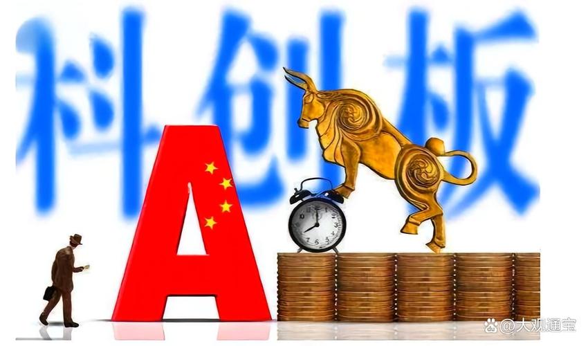 经营巴沙木的上市公司（上市公司有哪些要求）