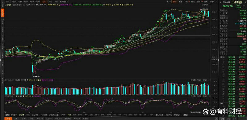 300236上海新阳股票资金流入（新阳股票）