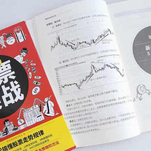 福建板块龙头股（金枫酒业）