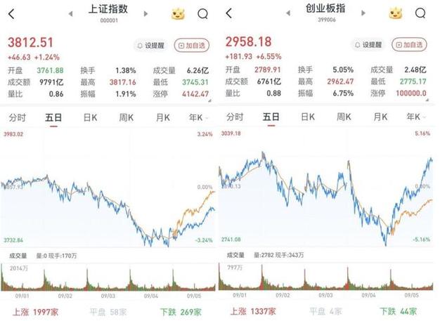 水井坊财报（酒鬼酒财报）
